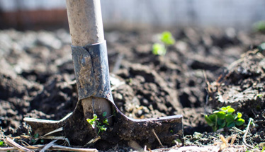 南京律师|大棚养殖租户能否分得拆迁利益